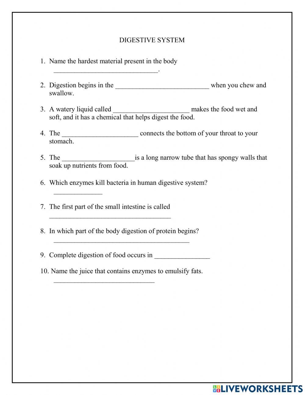 Human Digestive System