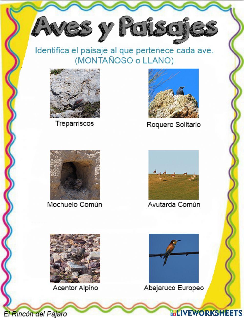 Aves en sus Paisajes