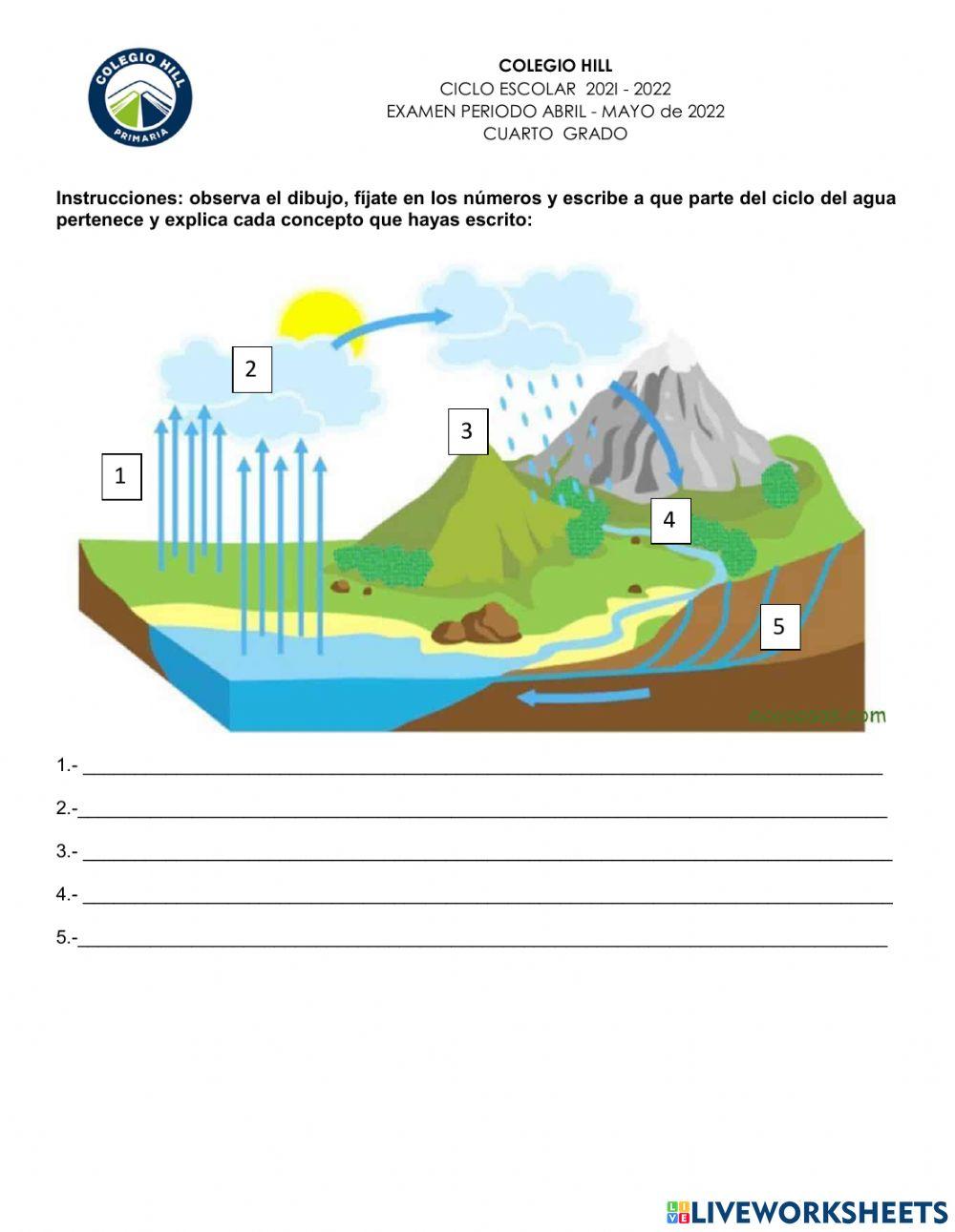 Examen ciencias naturales