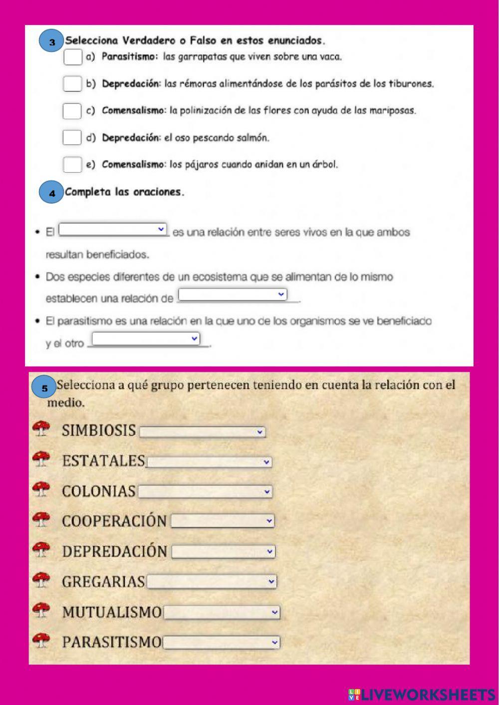 Relaciones de los seres vivos