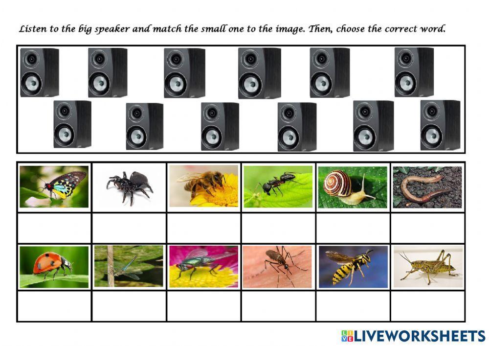Insects (dropdown)
