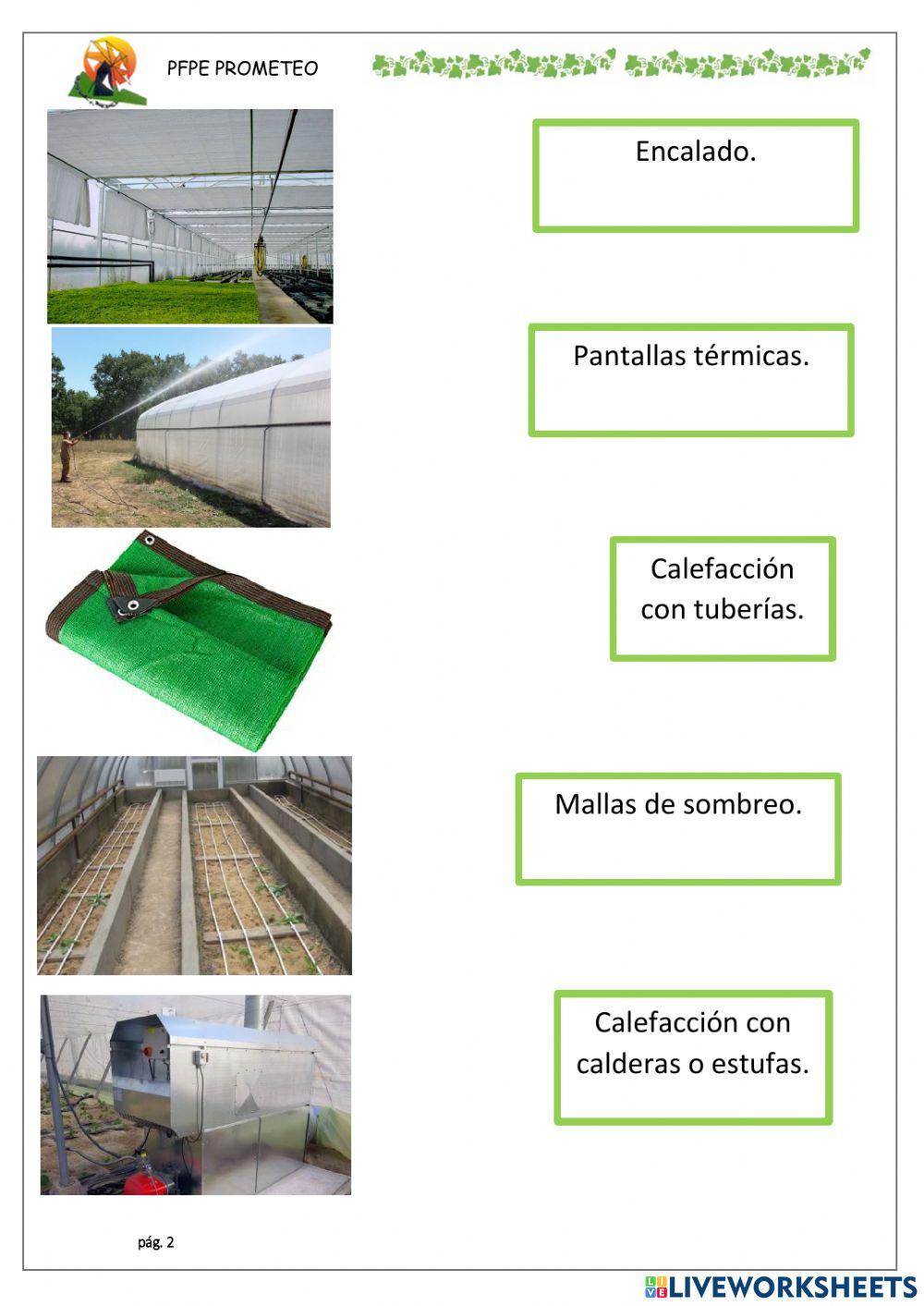 Temperatura invernadero