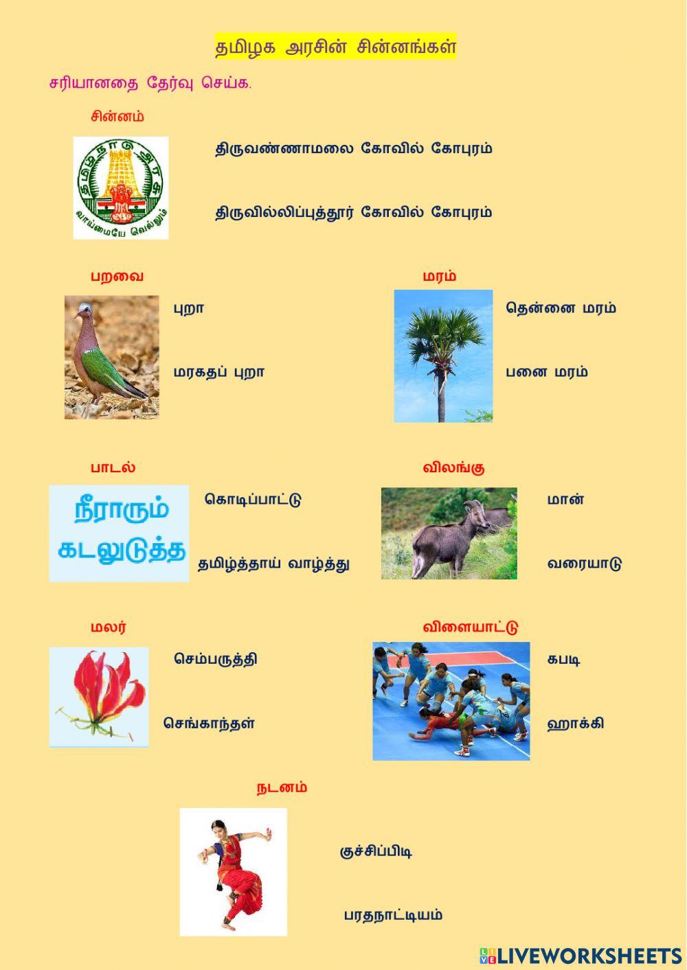 Tamilnadu state symbols