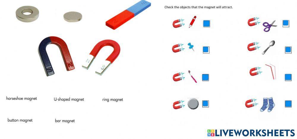 Sm sd 4 science magnets