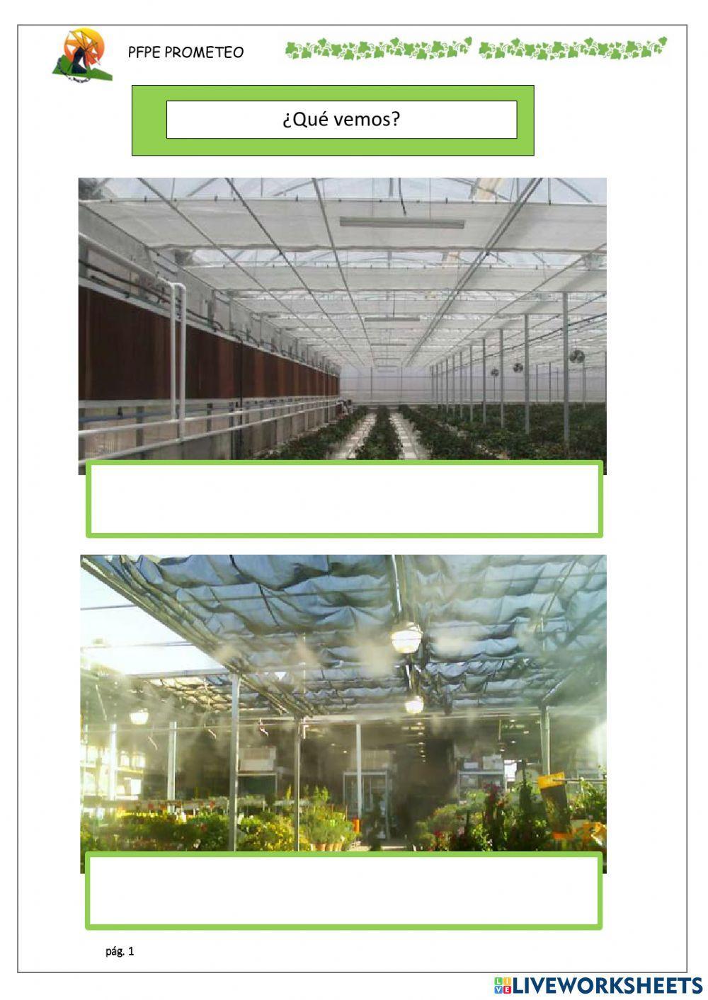 Invernaderos, riego y temperatura