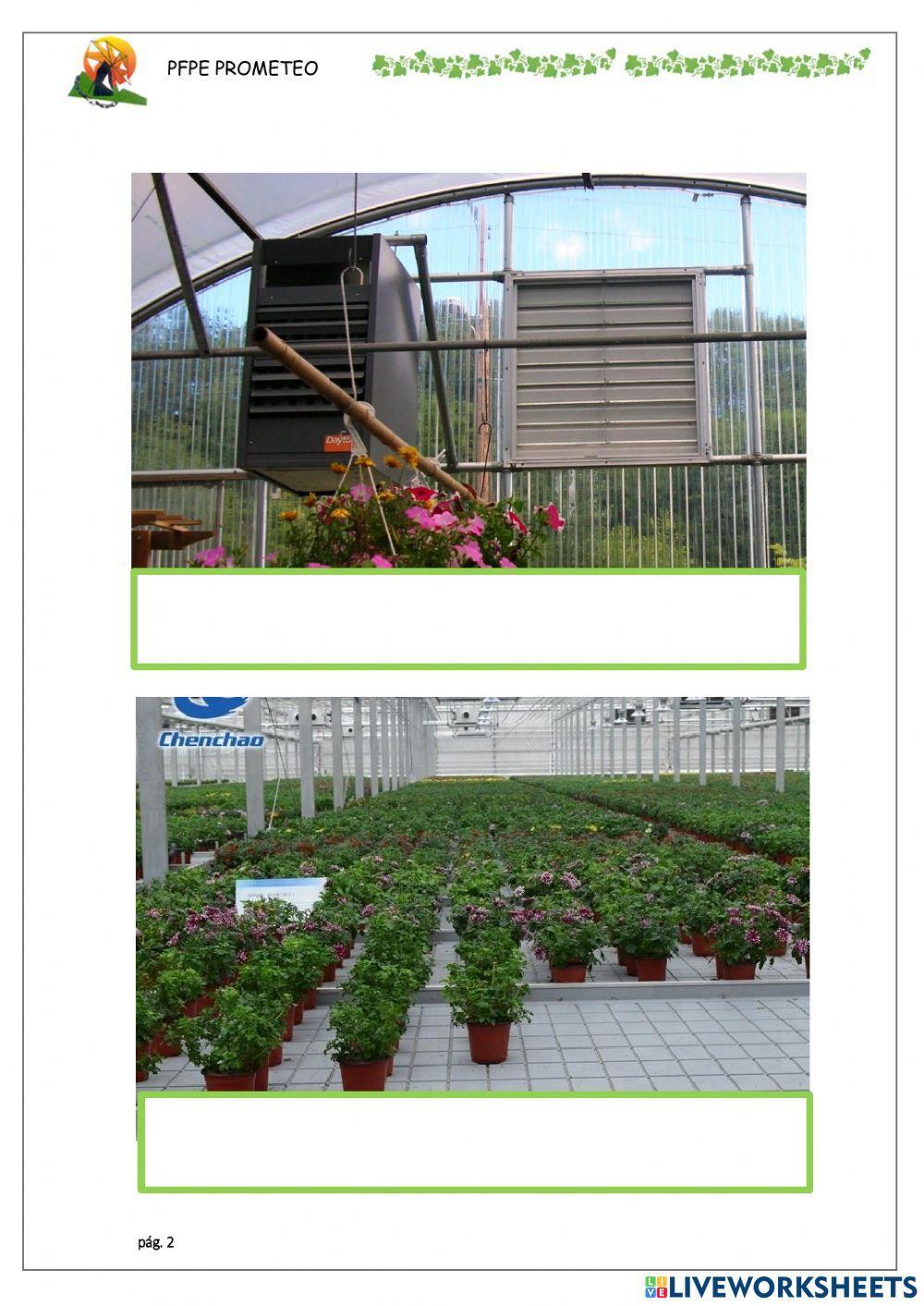 Invernaderos, riego y temperatura