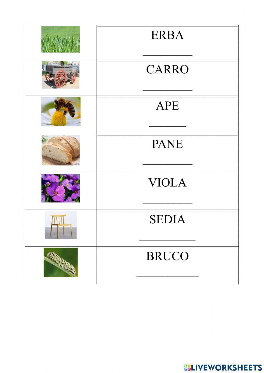 Osserva le immagini - Ascolta – Trascrivi   n.2