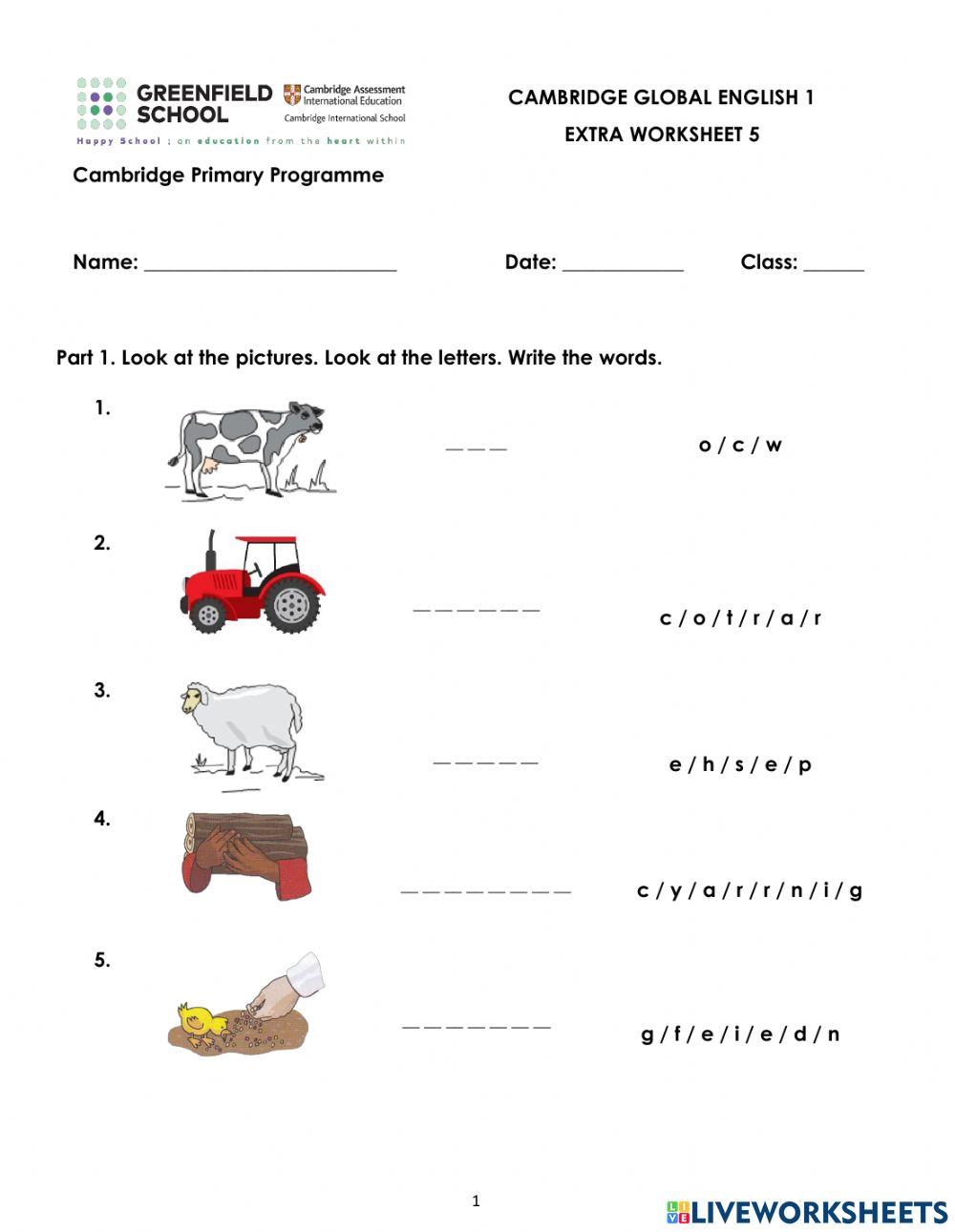 CGE1-Unit 5-Extra Worksheet