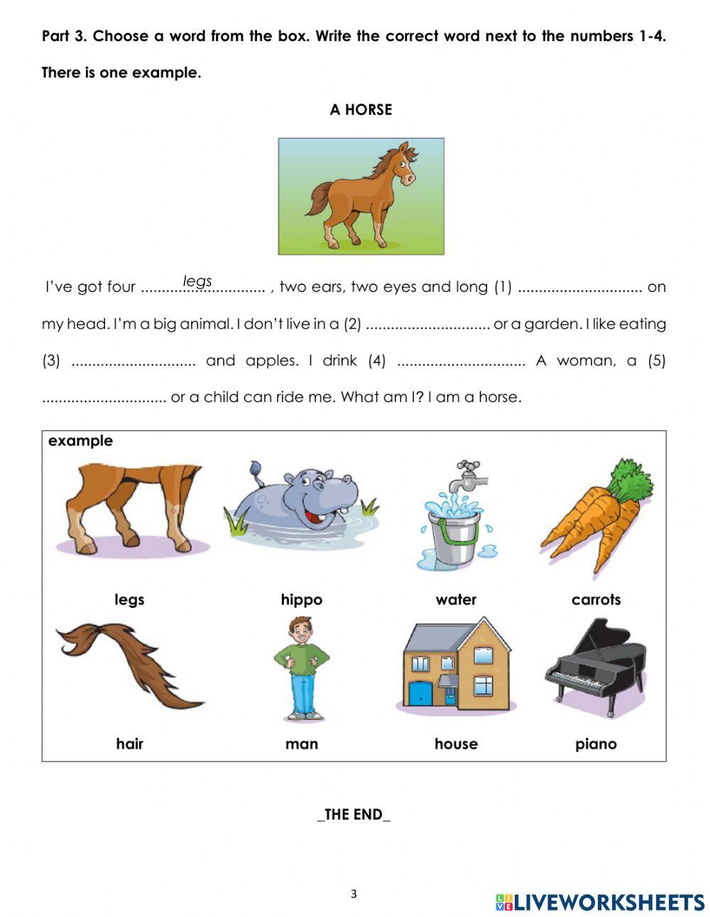 CGE1-Unit 5-Extra Worksheet