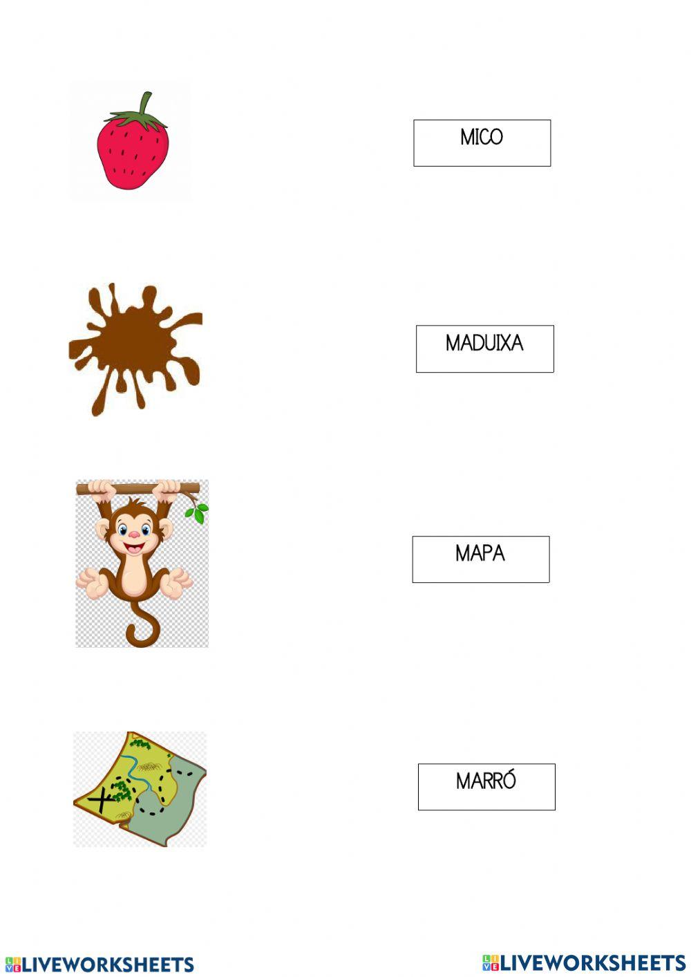 Escriure paraula i imatge