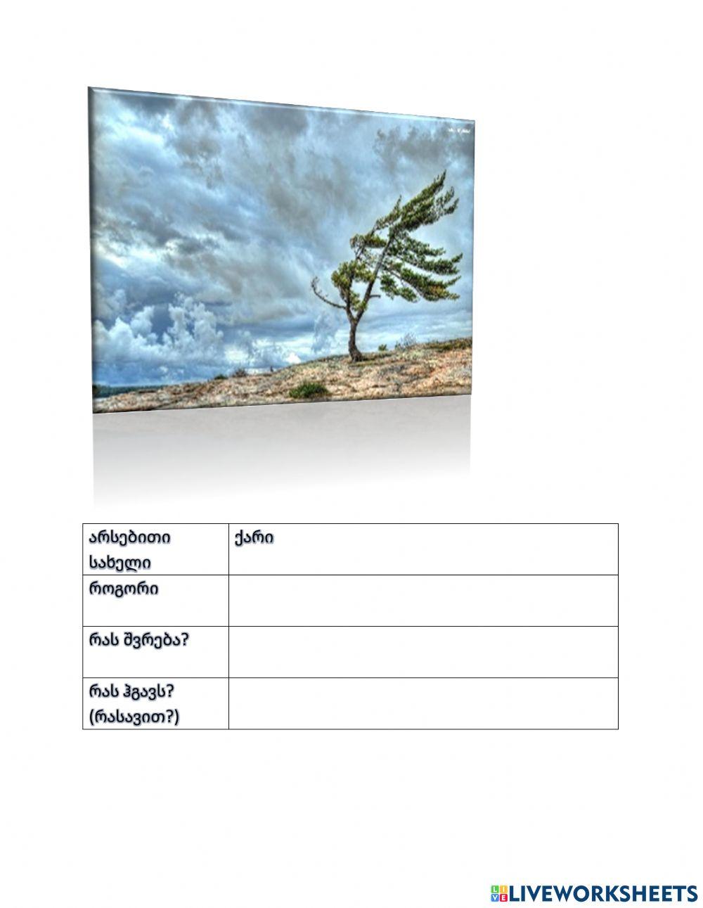 Მხატვრული სახეები