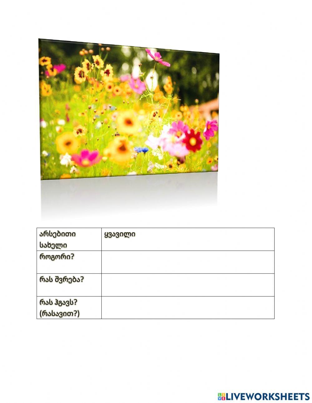 Მხატვრული სახეები