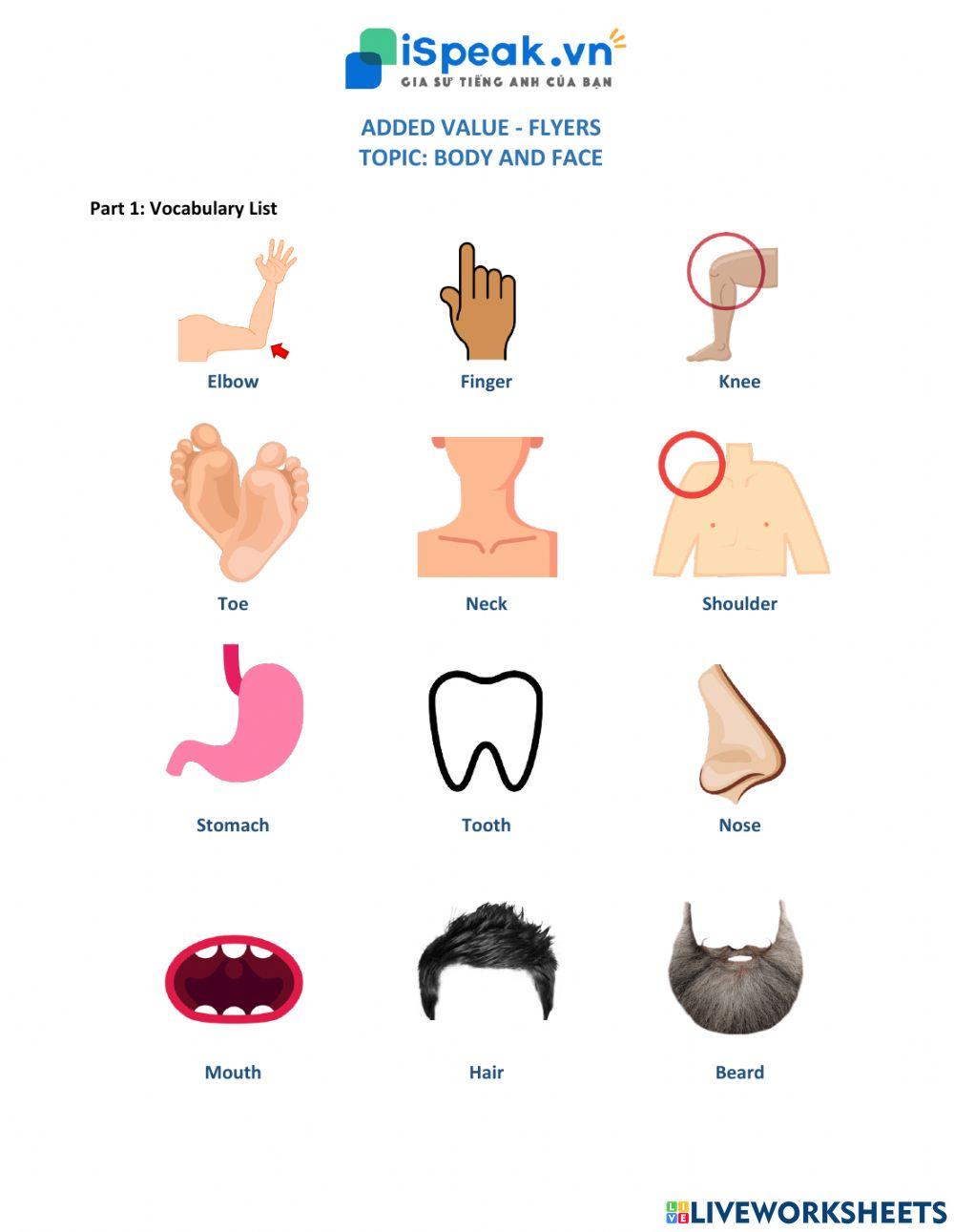 ADDED VALUE FOR FLYERS - Body and Face