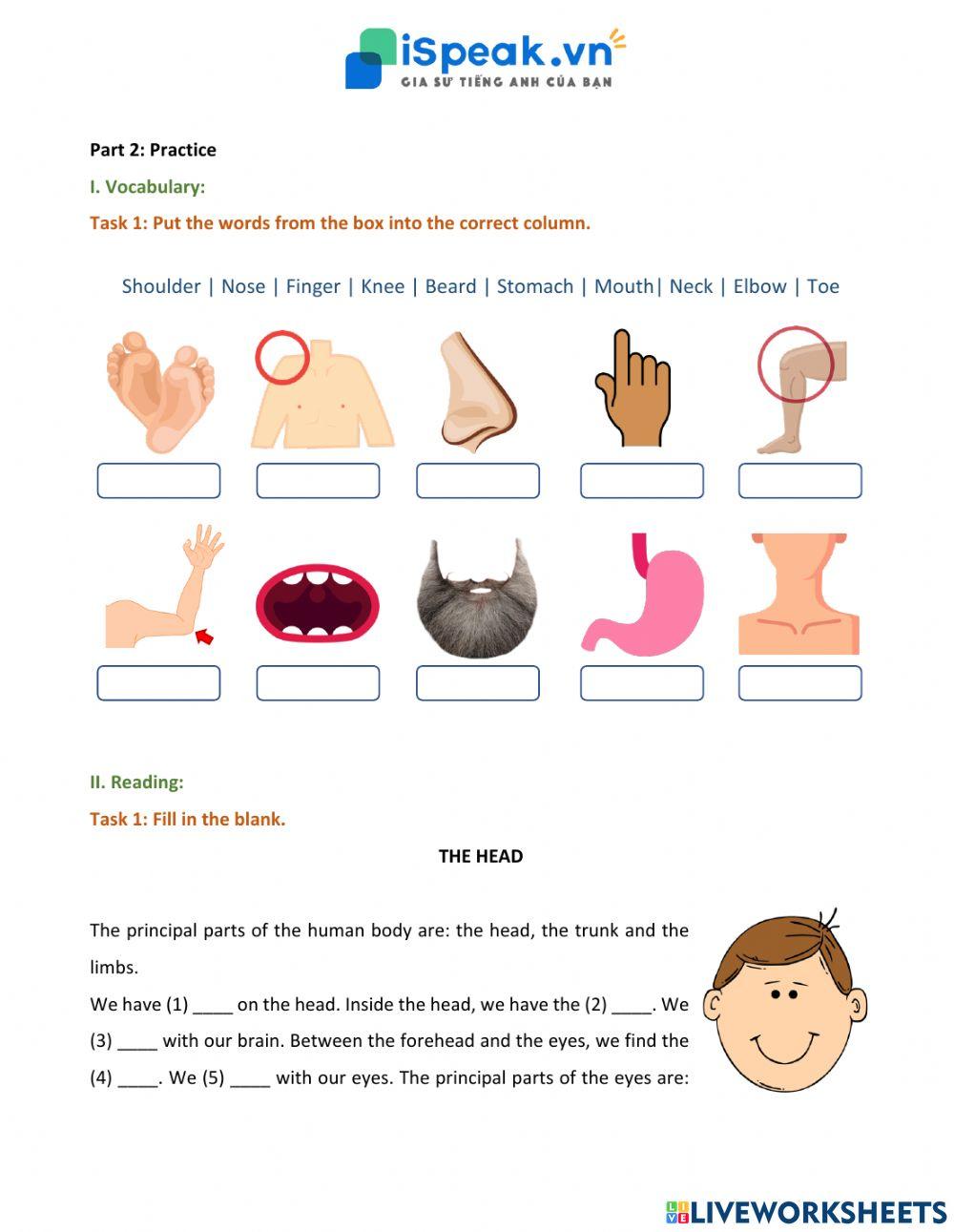ADDED VALUE FOR FLYERS - Body and Face
