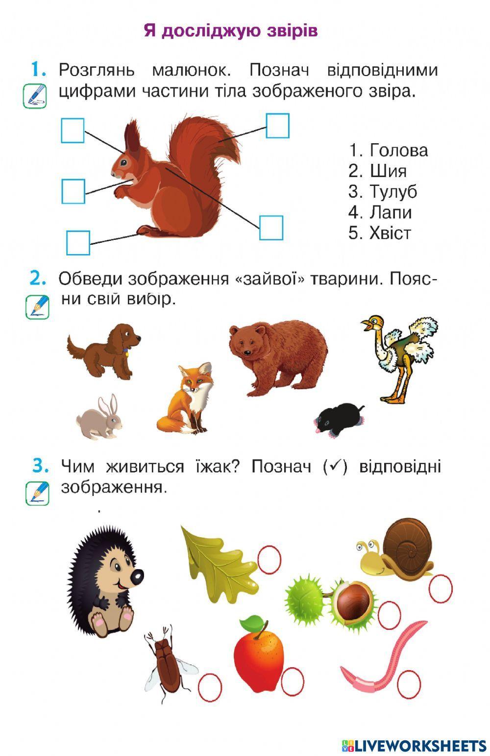 Я досліджую траврин