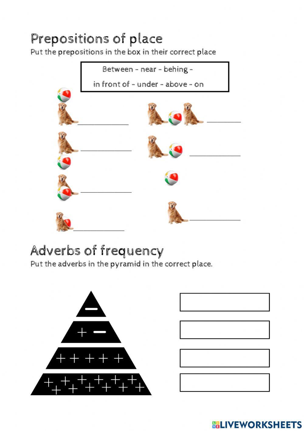 Prepositions of place -Adverbs of frequency
