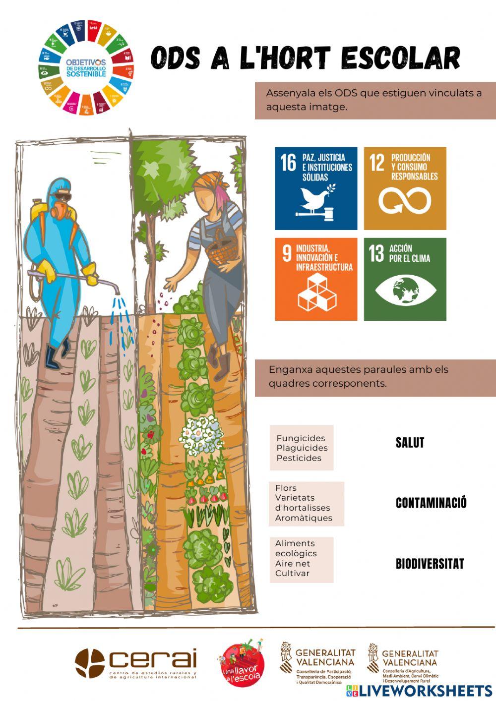 ODS huerto