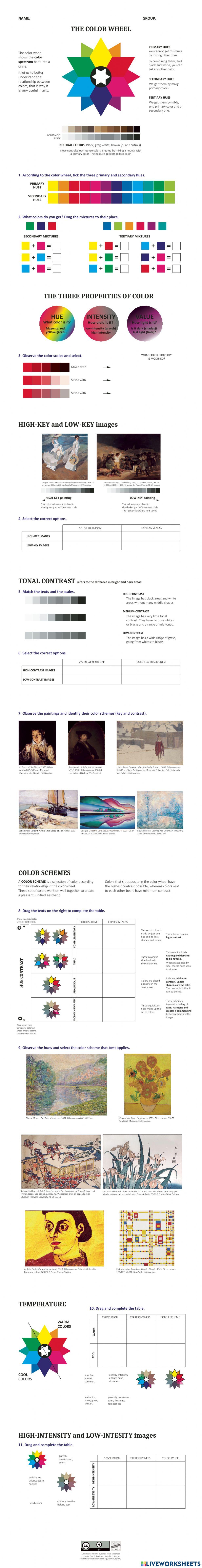 Understanding COLOR worksheet | Live Worksheets