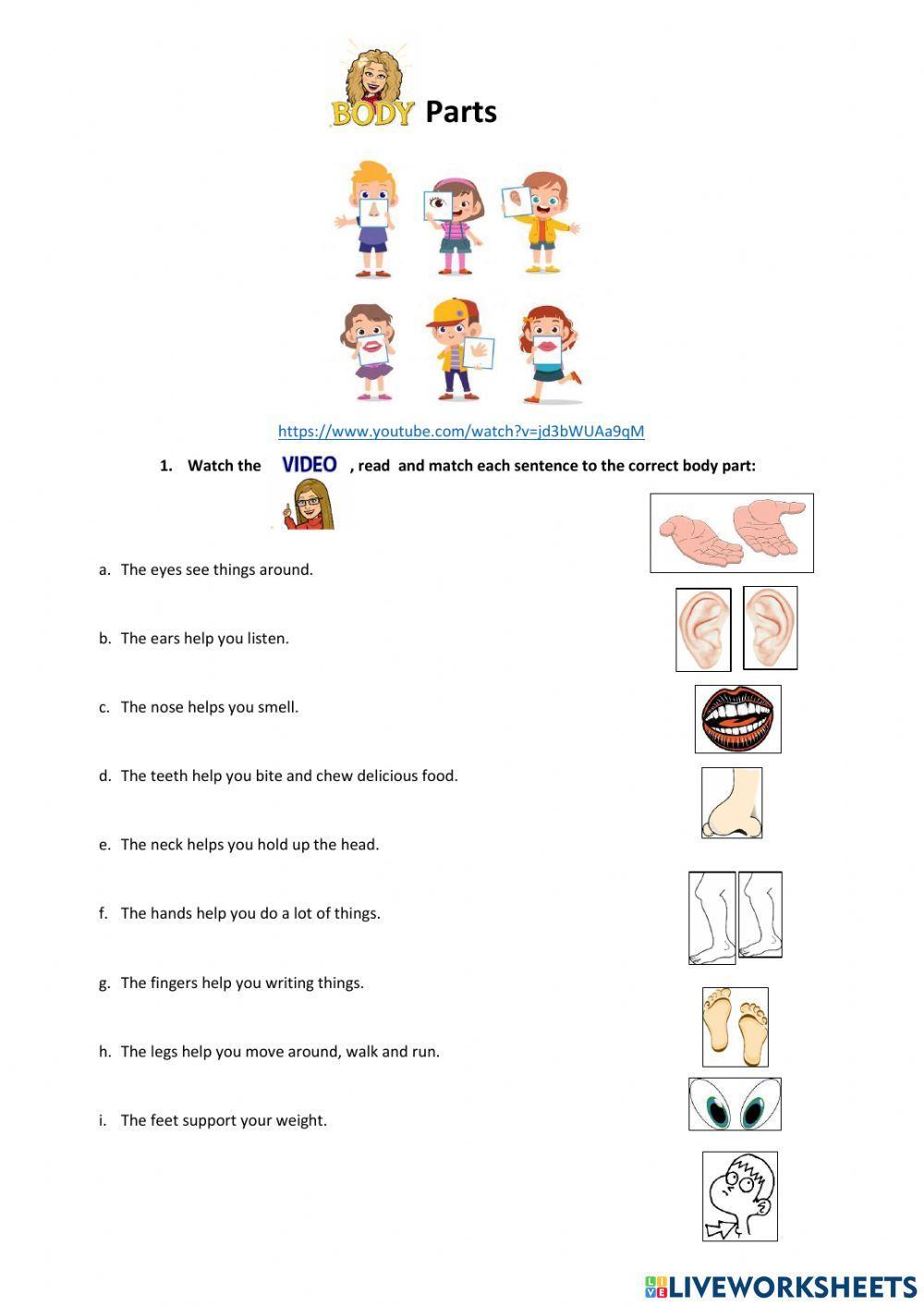 Body Parts Worksheet
