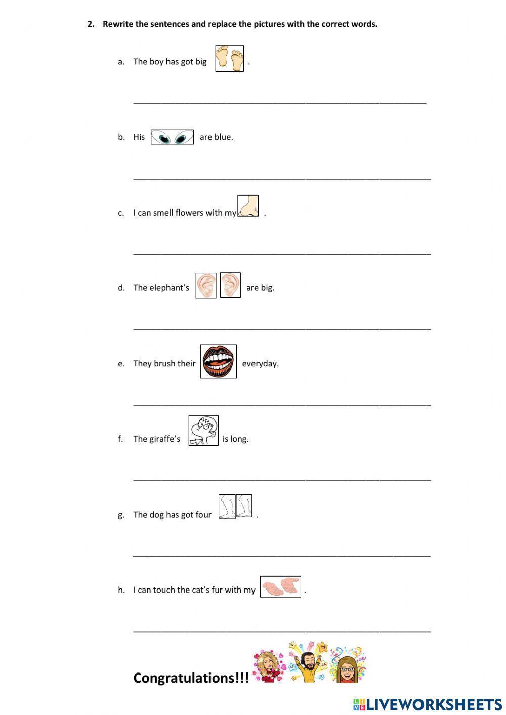 Body Parts Worksheet