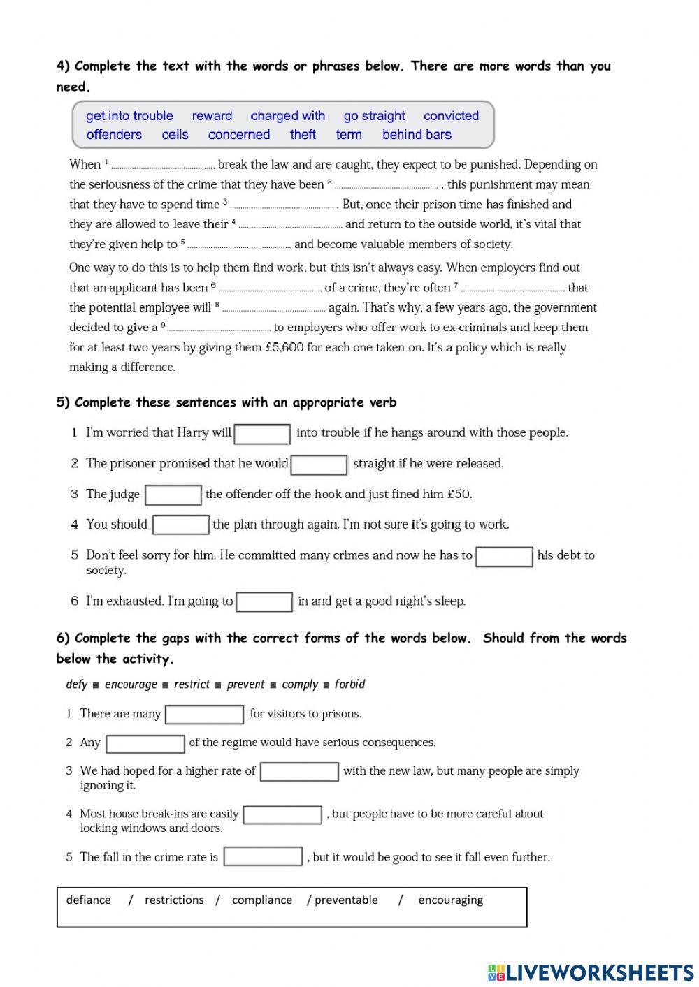 Vocabulary: Law and Order