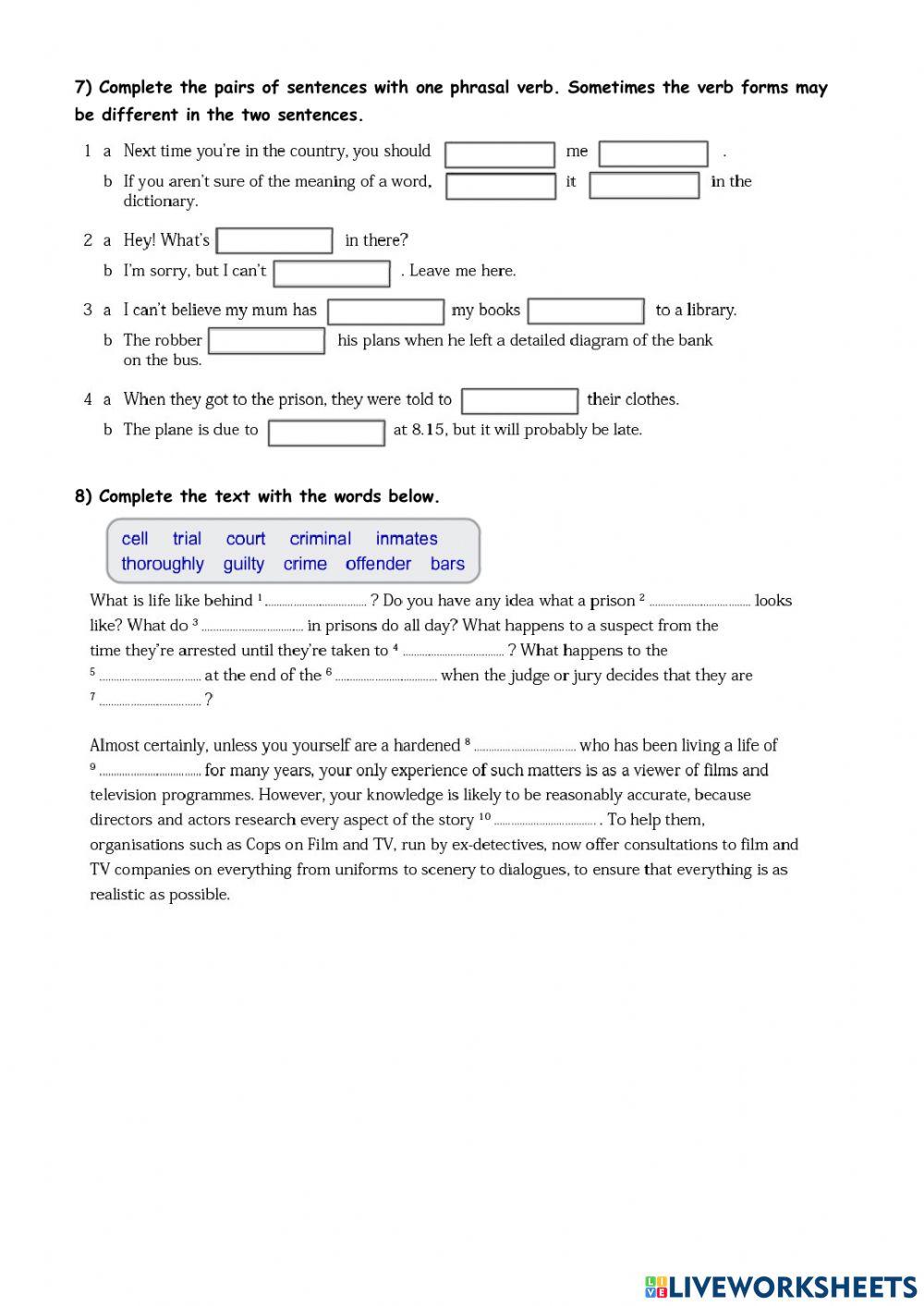 Vocabulary: Law and Order