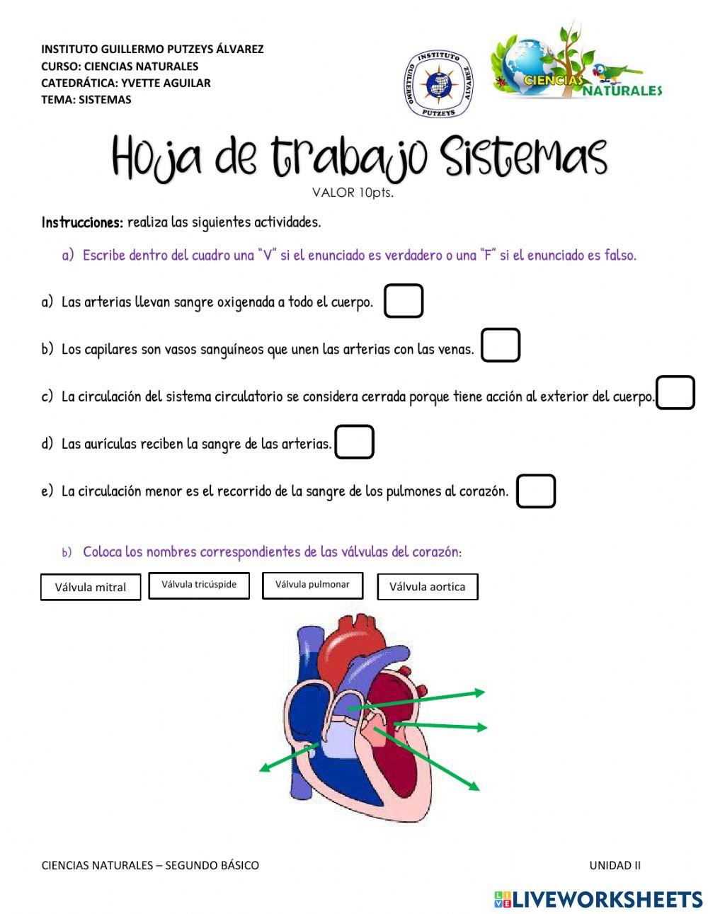 HOJA DE TRABAJO… | Free Interactive Worksheets | 3581220, image size:1000x1291