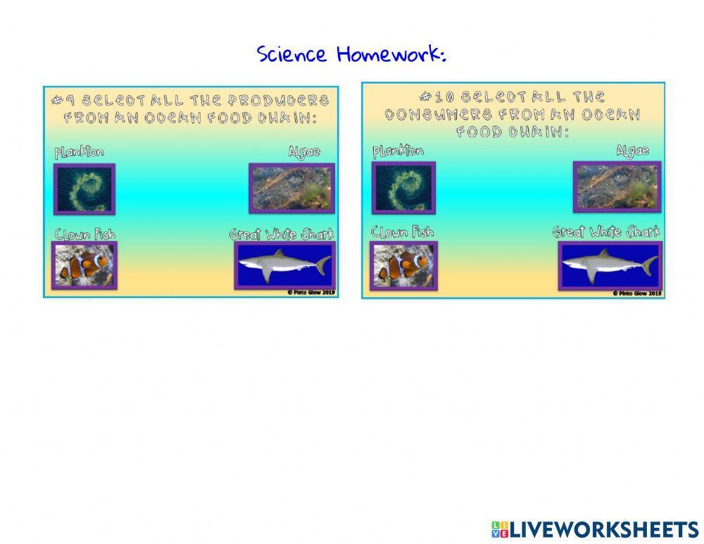 Homework 5-5-2022