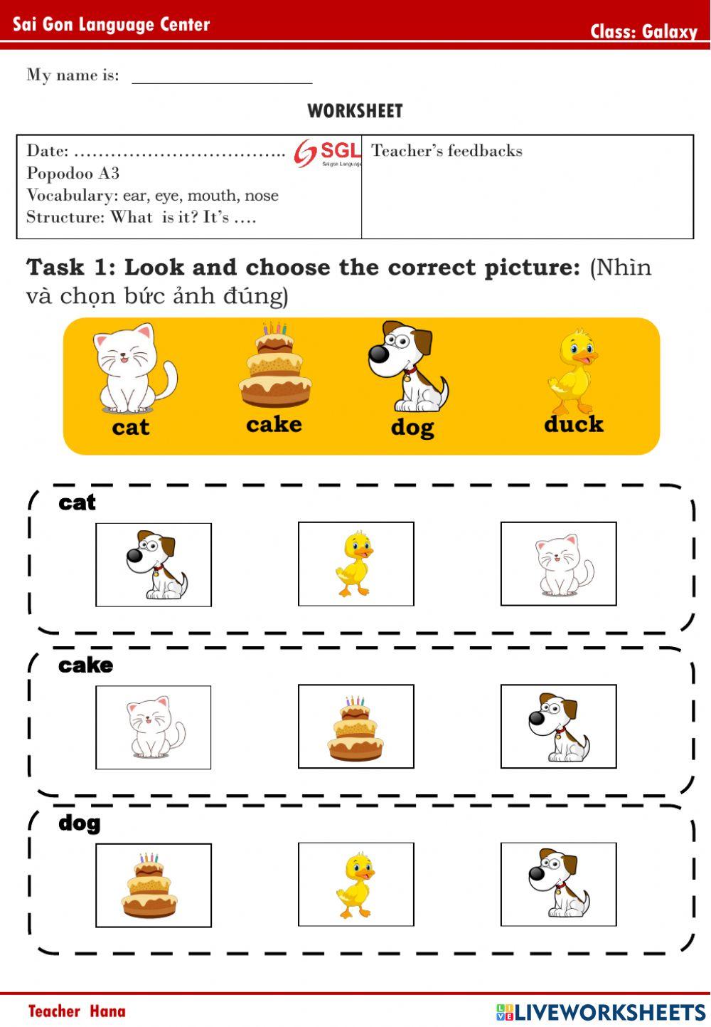 PPD - A1 - Galaxy (4-5-2022)