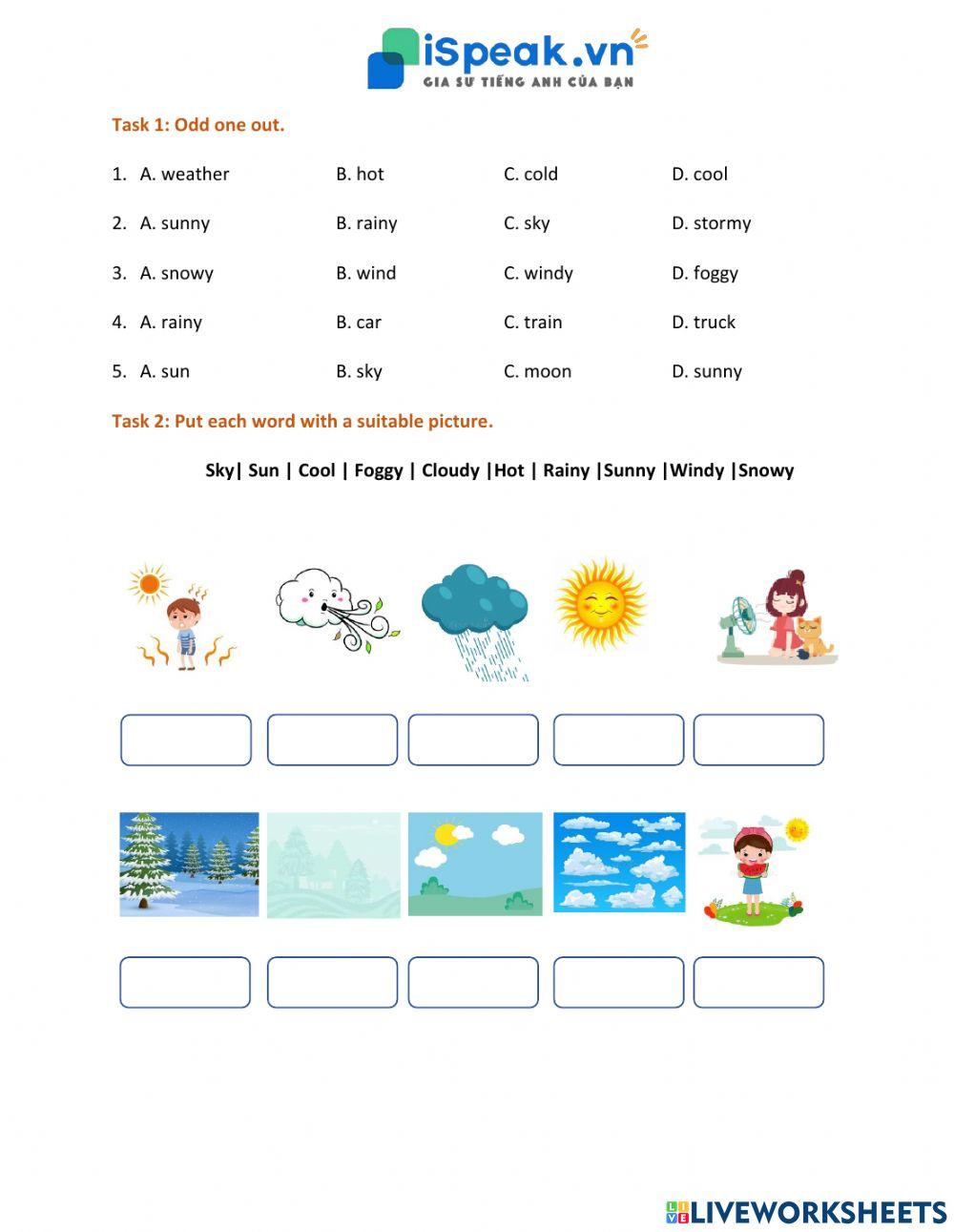 ADDED VALUE STARTERS-Weather