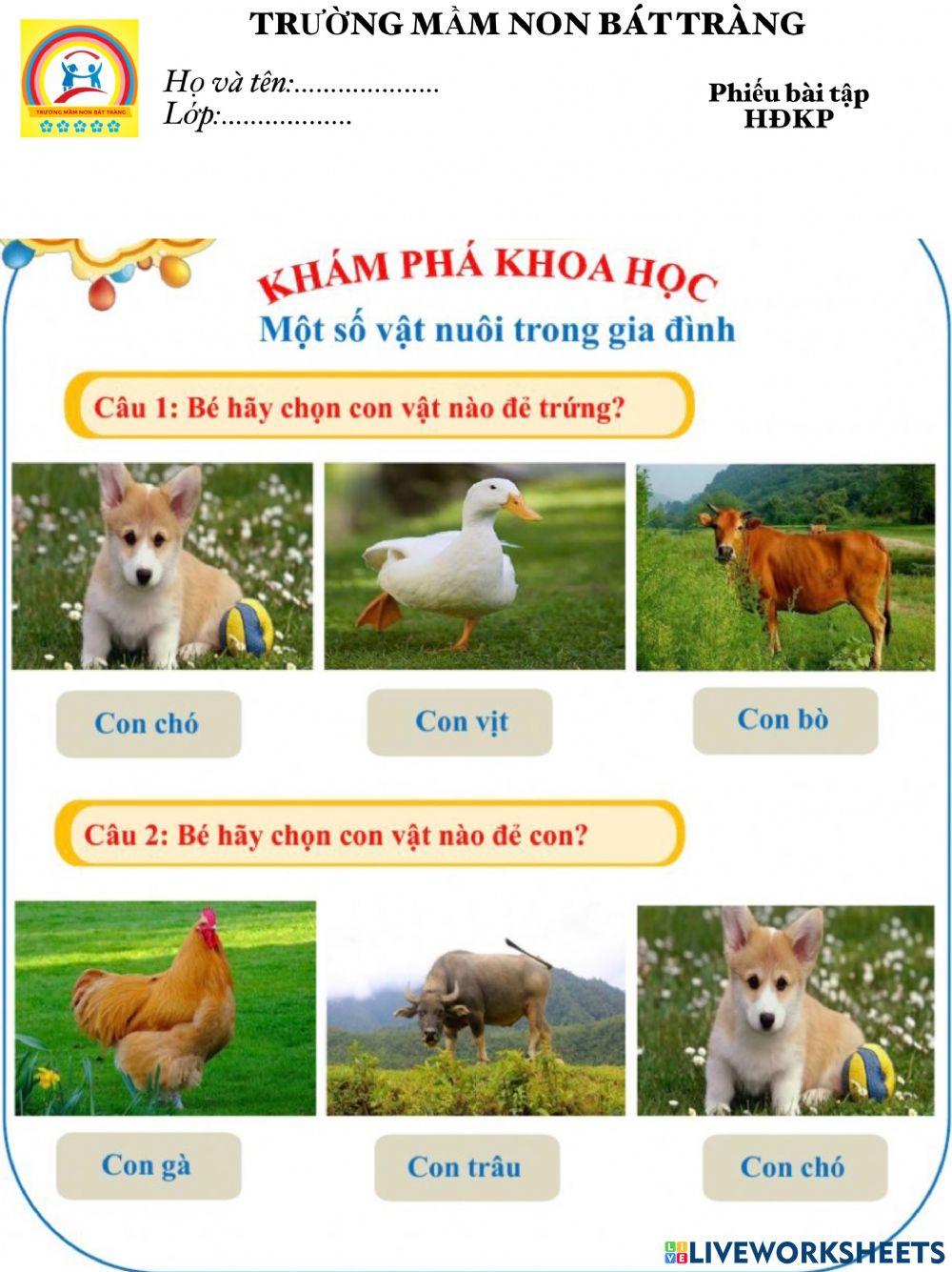 Phiếu BT HĐKP- Động vật- MN Bát Tràng