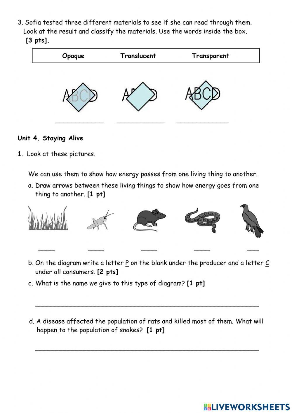 End of Year Test – Revision – Part 2