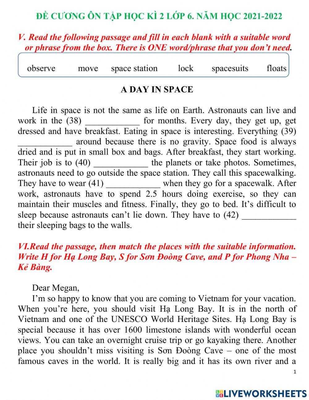 Smart world 6 Term 2 reading test