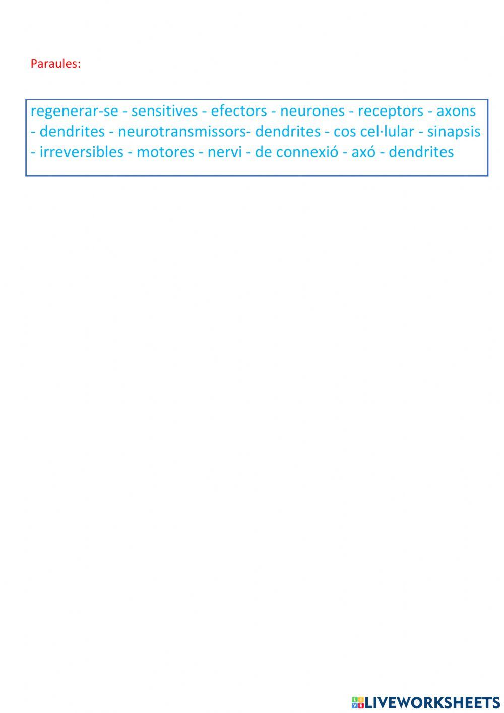 ges i cam sistema nerviós