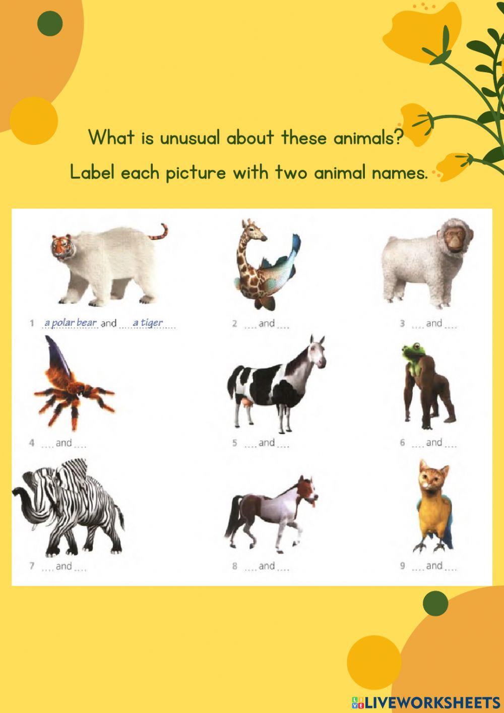 Animals and present continuous