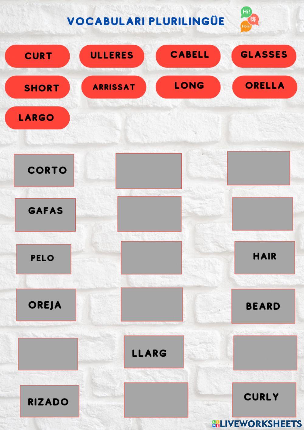 Vocabulari plurilingüe