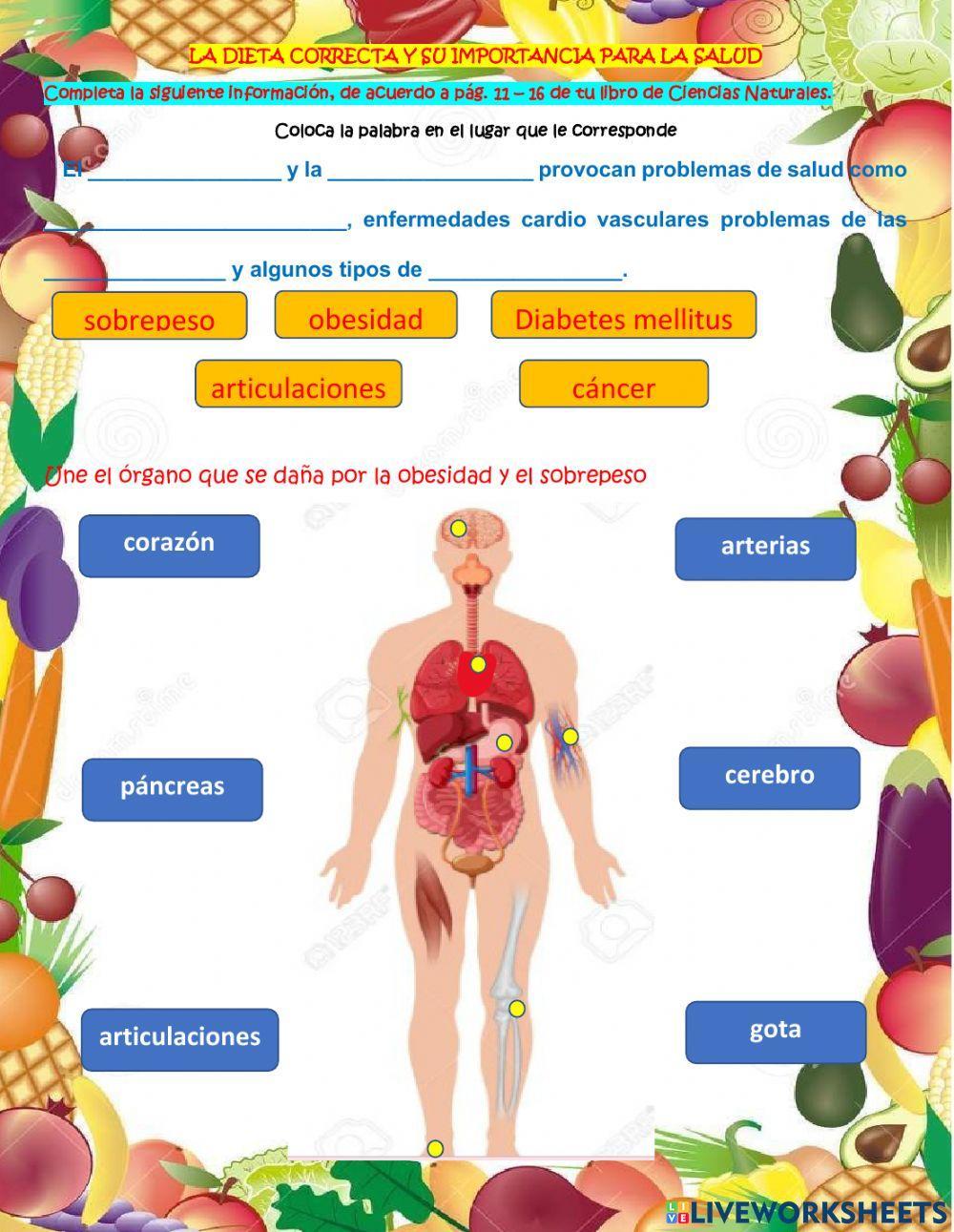 La dieta correcta y su importancia para la salud