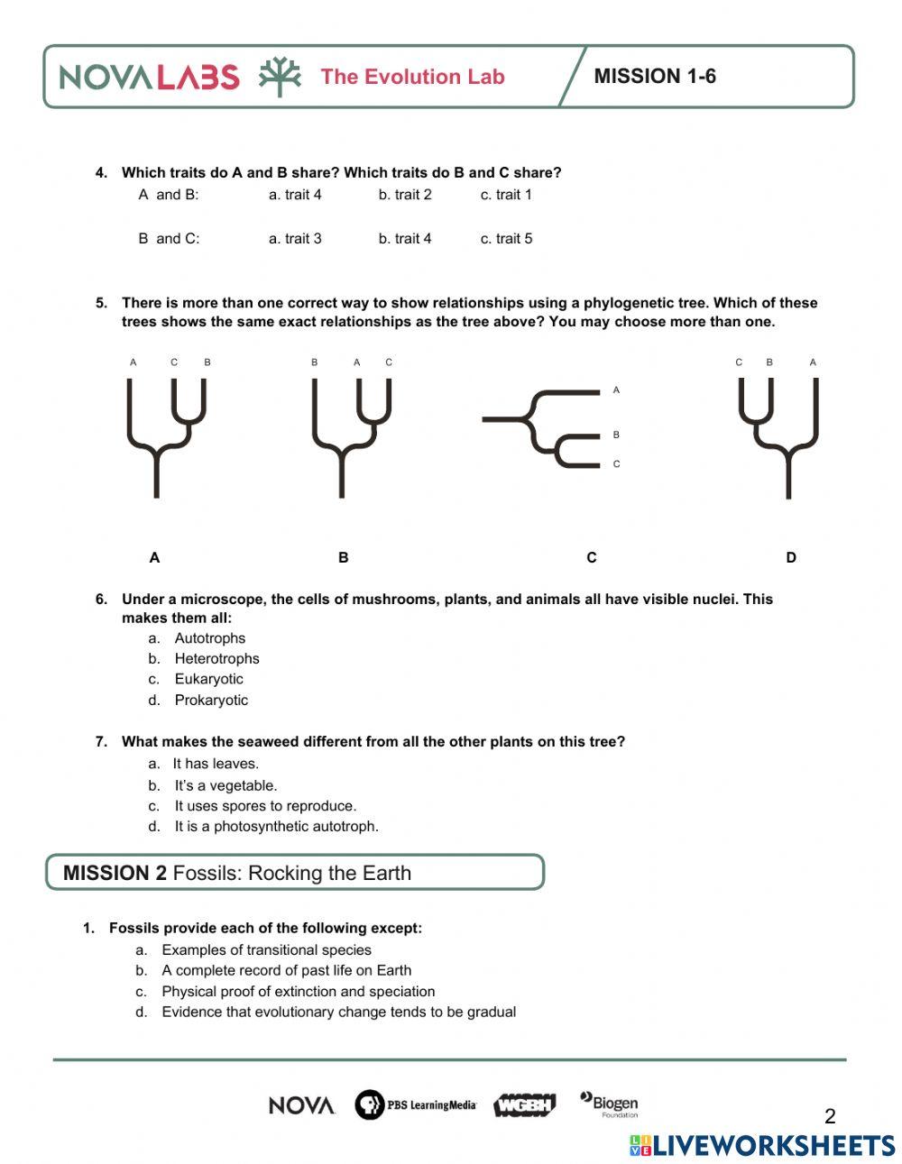 The Evolution Lab Quiz
