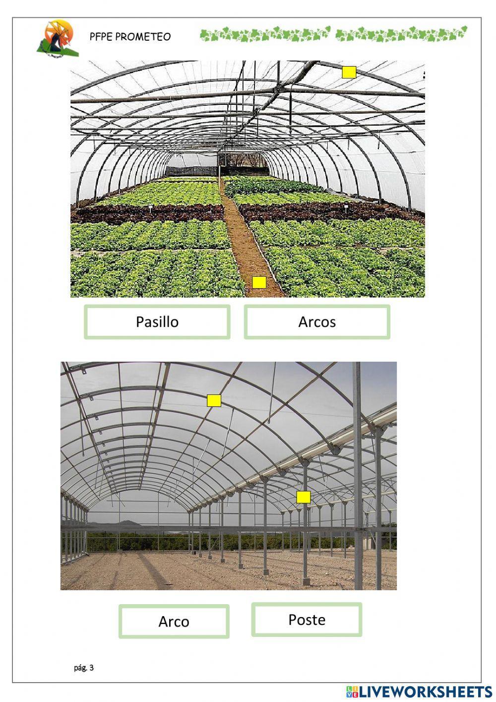Partes del invernadero