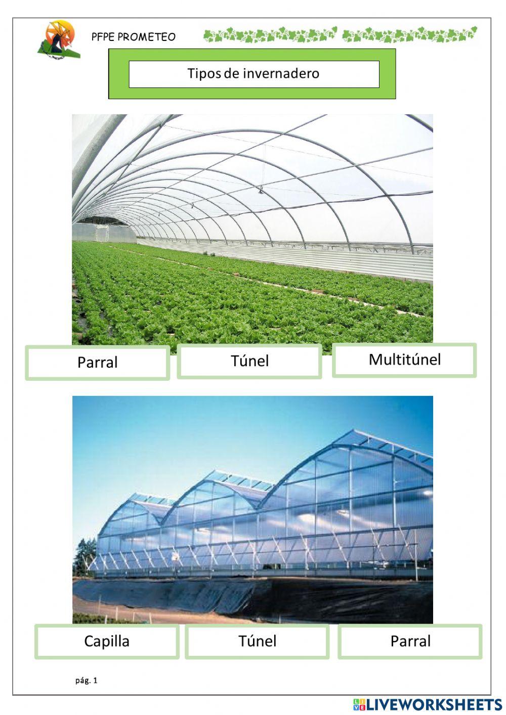 Tipos de invernadero