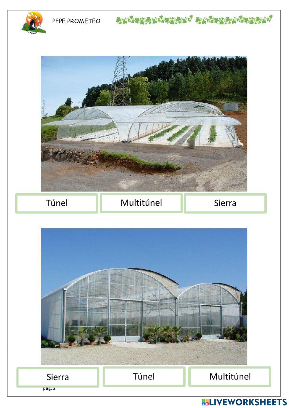 Tipos de invernadero