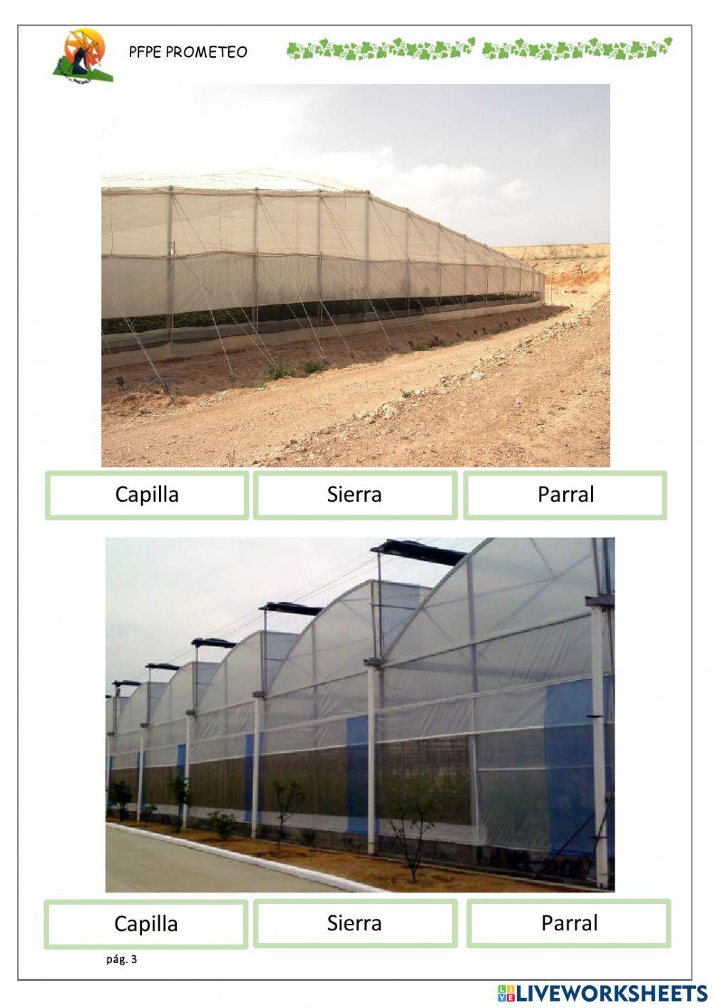 Tipos de invernadero