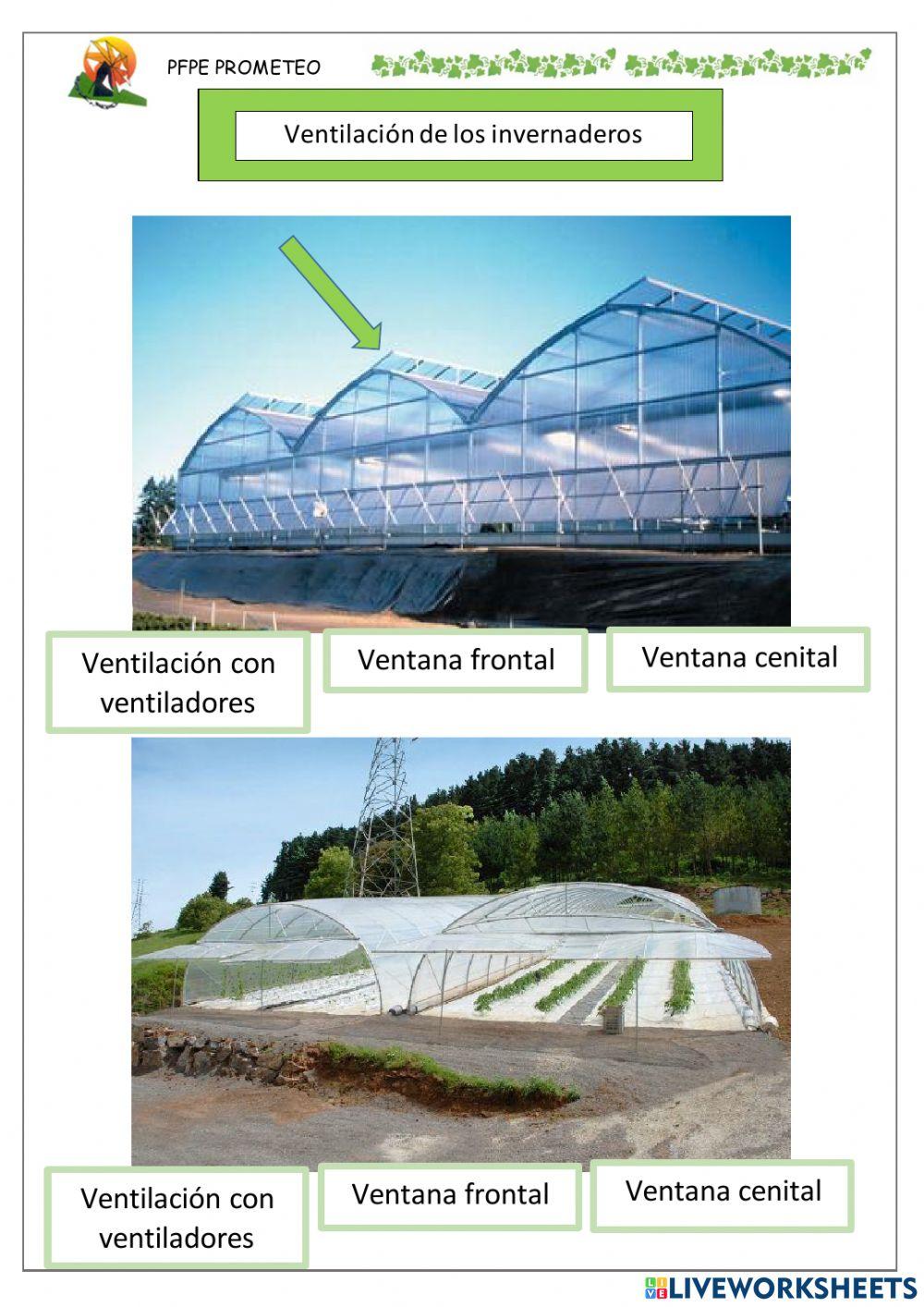 Ventilación de los invernaderos