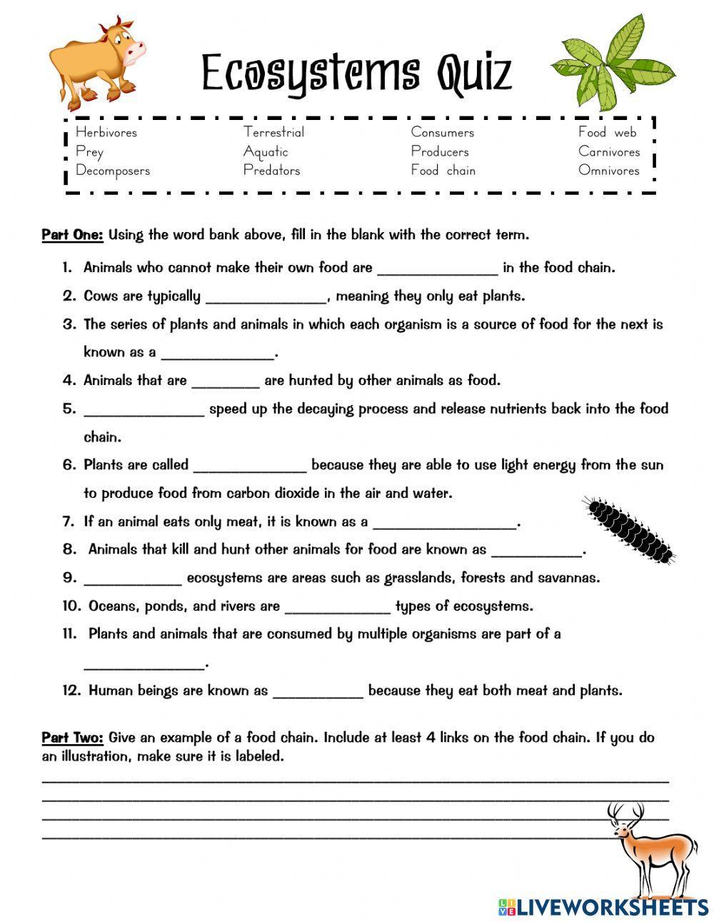Ecosystem quiz Ecosystem quiz