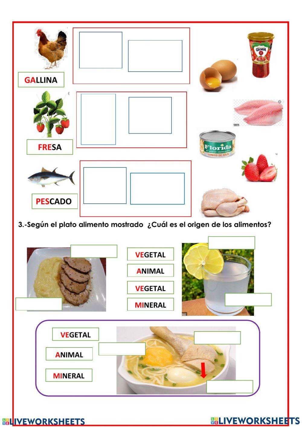 Origen de los alimentos..
