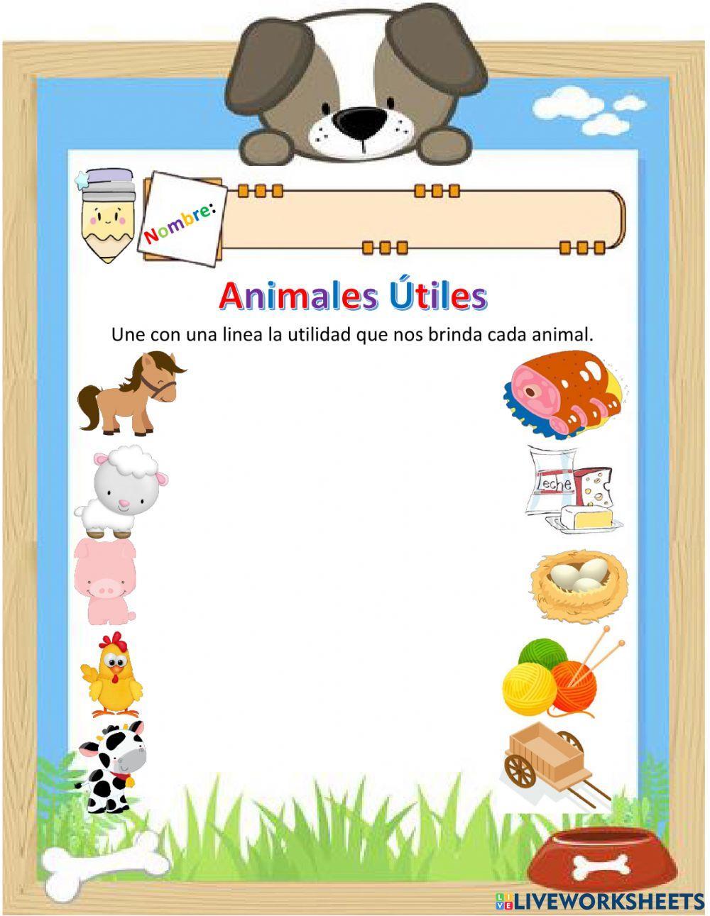 Animales útiles y dañinos