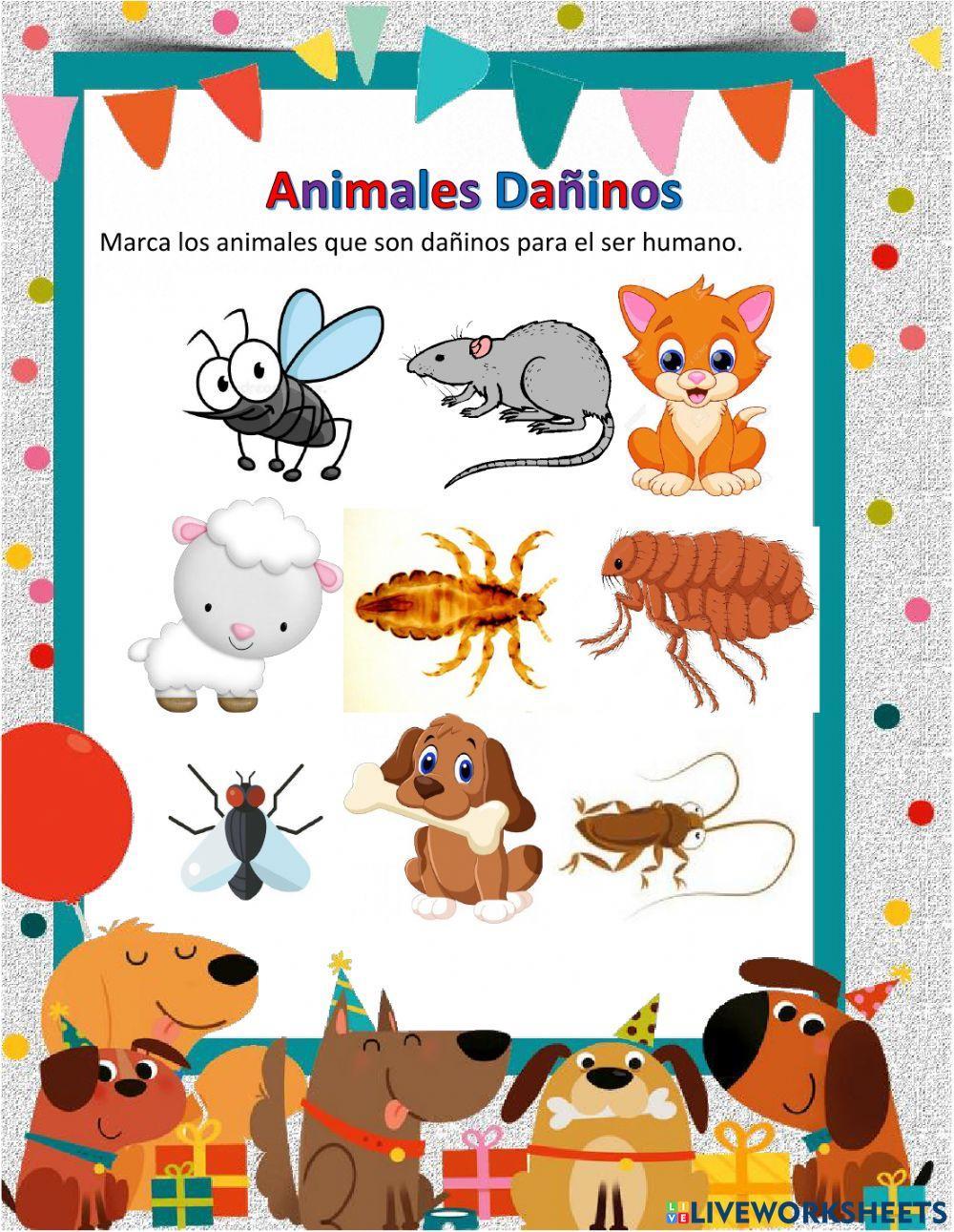Animales útiles y dañinos