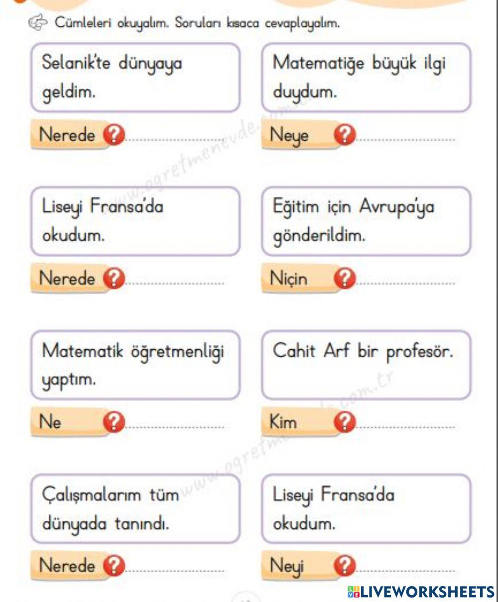 Cümleyi Oku, Soruyu Cevapla!!!
