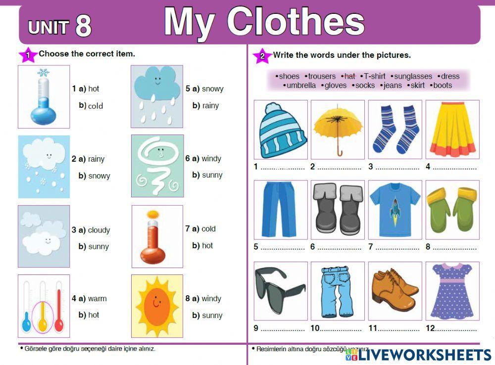 4th Grade Unit 8 - Weather and Clothes