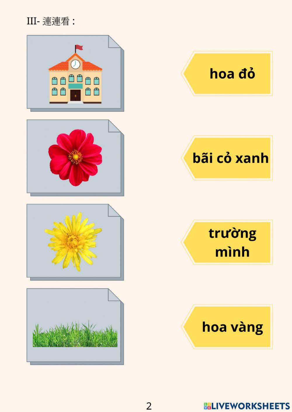 第二冊 第二課 我的學校很美麗 線上作業